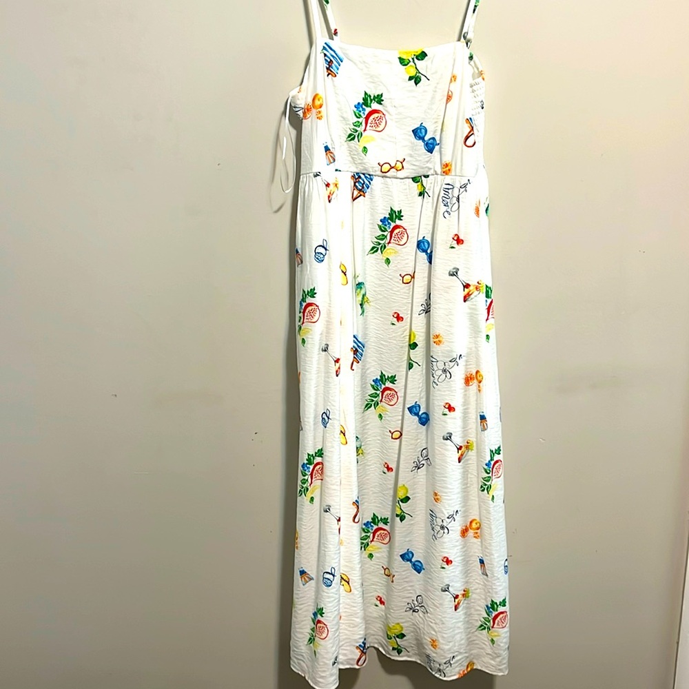 Rachel Zoe maxi dress